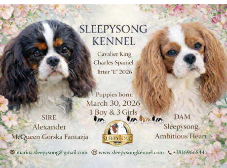 new official jerry & kona 30.03.2026. litter e.png